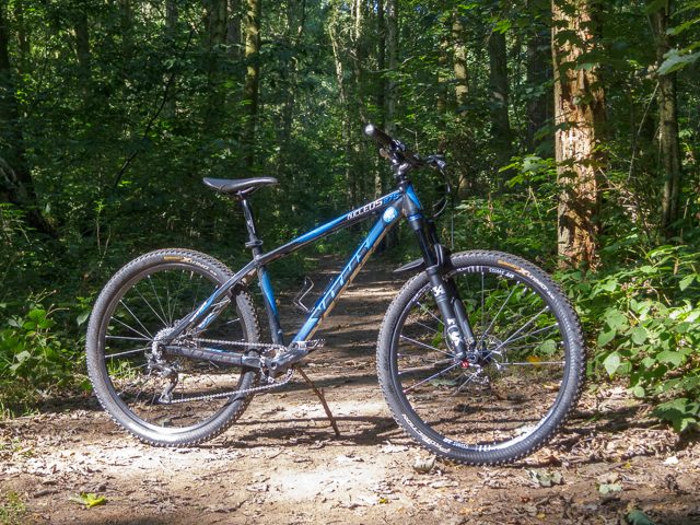 Vitus nucleus deals hardtail